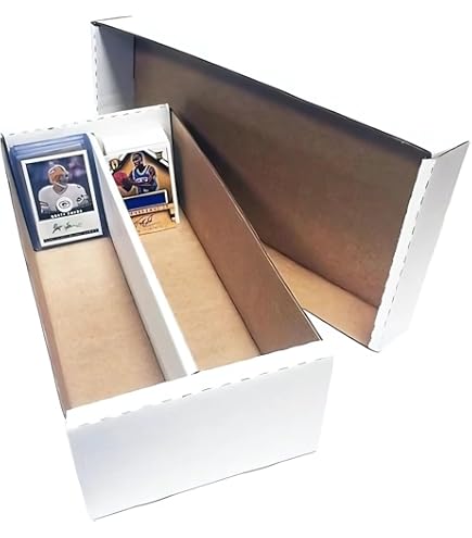 Amazon.com: Shoe 2 Row Storage Box (1600 Ct.) - Cardboard Storage